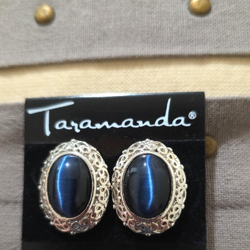 Blue Cat Eye Cabachon Earrings